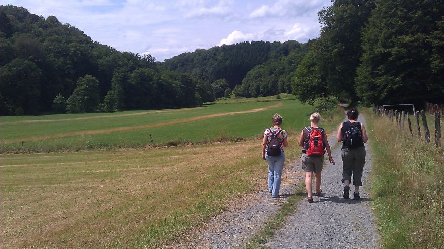 Wanderung: Auf dem Kräuterweg durchs Naafbachtal